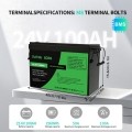 Акумулятор DATOUBOSS 24V 100Ah LiFePO4 с BMS 100A 2560Wh з глибоким циклом зарядки/розрядки
