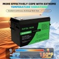 Акумулятор DATOUBOSS 24V 100Ah LiFePO4 с BMS 100A 2560Wh з глибоким циклом зарядки/розрядки
