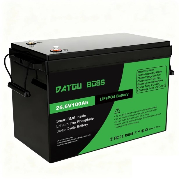 Акумулятор DATOUBOSS 24V 100Ah LiFePO4 с BMS 100A 2560Wh з глибоким циклом зарядки/розрядки